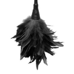 feather duster