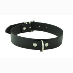 plain leather collar with D ring