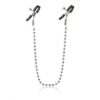 silver beaded nipple clamps