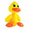 Fuck a Duck inflatable fun