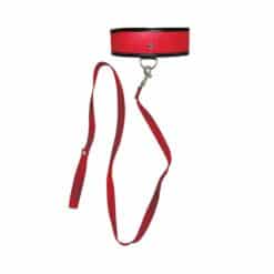 red leash & collar set